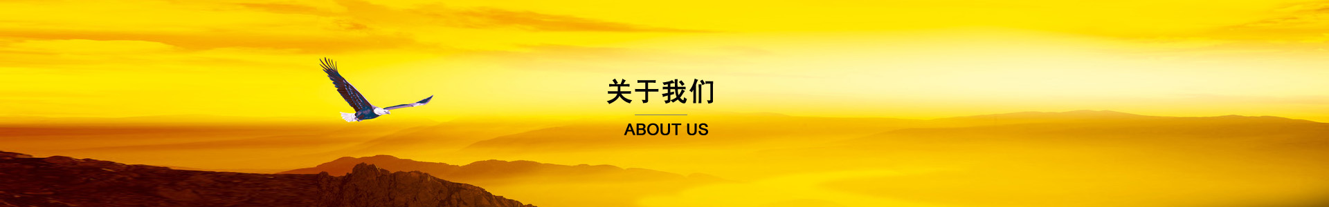 公司簡介